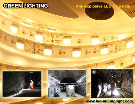 La bande 1500 flexible de l'anti lum explsoive LED 60pcs imperméable a mené chaque mètre