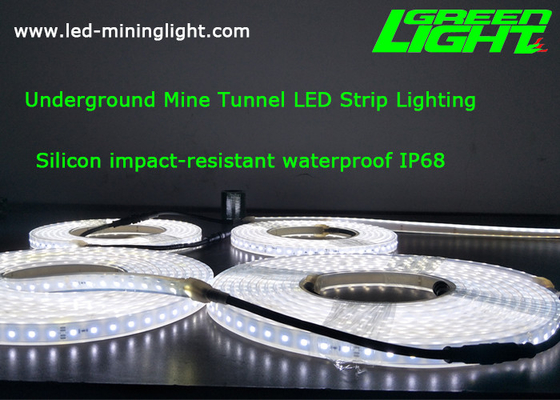 Économie d'énergie IP68 imperméable flexible standard de C.C 24V de lumières de bande de la chaîne LED de silicium