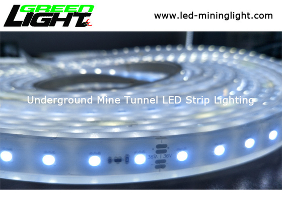 Économie d'énergie IP68 imperméable flexible standard de C.C 24V de lumières de bande de la chaîne LED de silicium