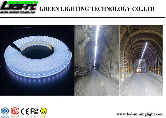 Lumières de bande flexibles extérieures de LED 60 LED/M High Brightness Fire résistant