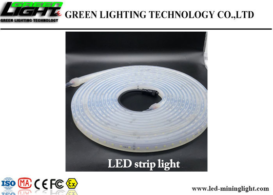 Lumières de bande flexibles extérieures de LED 60 LED/M High Brightness Fire résistant