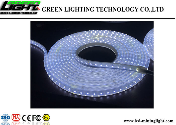 Lumières de bande flexibles extérieures de LED 60 LED/M High Brightness Fire résistant