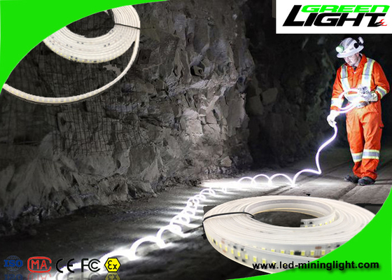 Lumières de bande flexibles imperméables de LED 24v 60 LED par mètre avec la garantie de 1 an
