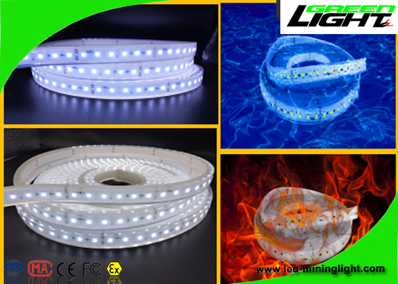 Lumières de bande flexibles imperméables de LED 24v 60 LED par mètre avec la garantie de 1 an