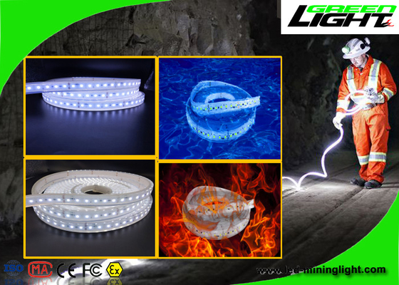 Lumières de bande flexibles imperméables de LED 24v 60 LED par mètre avec la garantie de 1 an