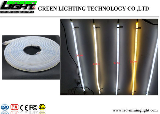Adaptez C.C aux besoins du client flexible 36V 60 LED/mètre RVB imperméable SMD5050 de lumières de bande de LED