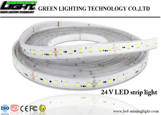 Adaptez C.C aux besoins du client flexible 36V 60 LED/mètre RVB imperméable SMD5050 de lumières de bande de LED