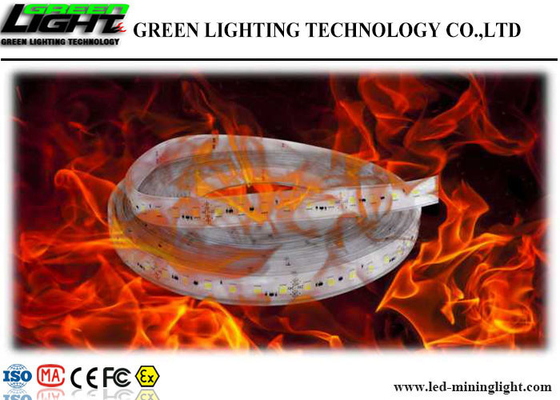 Anti C.C flexible explosif 24V de lumières de bande de LED résistant aux chocs avec le silicagel