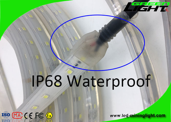 Les lumières de bande flexibles matérielles de Sillicone 12v LED SMD 5050 IP68 imperméabilisent 50/60 hertz