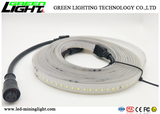 éclat blanc flexible à haute tension de lumière de bande de 220V LED haut Illuminous pour le hard rock