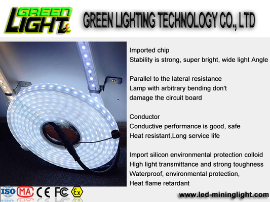 Bandes légères menées flexibles du silicone 12w Ip68 SMD5050