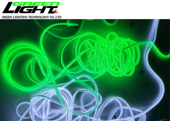 100 lumières de bande d'exploitation des mètres IP68 12W 2000LUM/M LED
