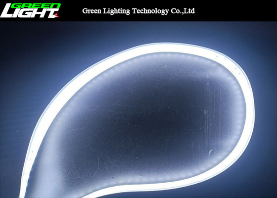 Lumières de bande flexibles multi de la couleur 2000Lum 24V 12W LED 144LEDs