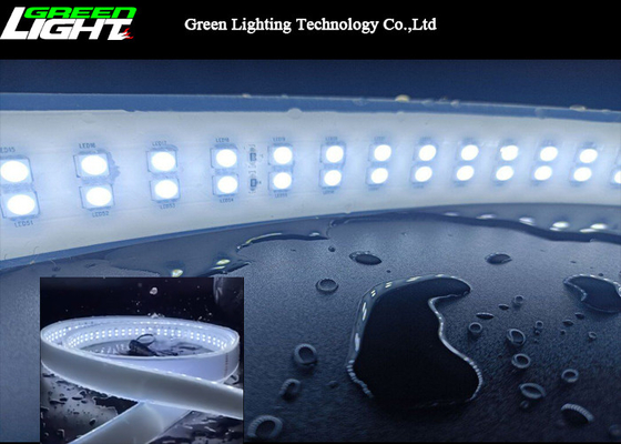 Double lumière de bande de silicone de la rangée 6500k SMD5050 LED 12W/M