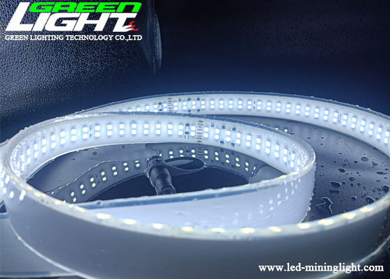 Rangée de bande de SMD2835 AC110V LED double de lumières de silicone blanc au néon de couleur