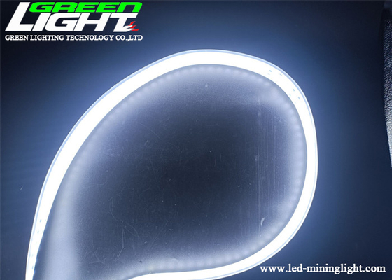 Rangée de bande de SMD2835 AC110V LED double de lumières de silicone blanc au néon de couleur