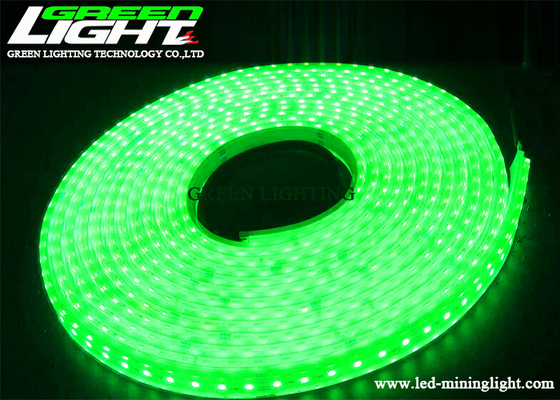 couleur verte IP68 imperméable DC36V de lumières de bande de l'exploitation LED de 12W 576LM