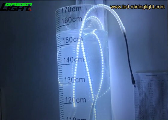 1100 Lumen/M Flexible LED Strip Lights 24V Underground Silicone 5050 RGB Couleur Changeante LED Strip Lights pour l'extérieur