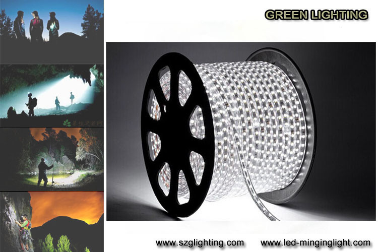 Catégorie imperméable flexible colorée de la lumière de bande de la sécurité LED de SMD5050 7.2W/M 0.6A IP67