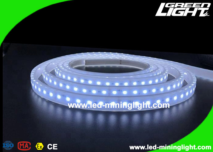 La sécurité anti-déflagrante a mené les lumières de bande flexibles de ruban avec 5m 300 LED 24V IP68