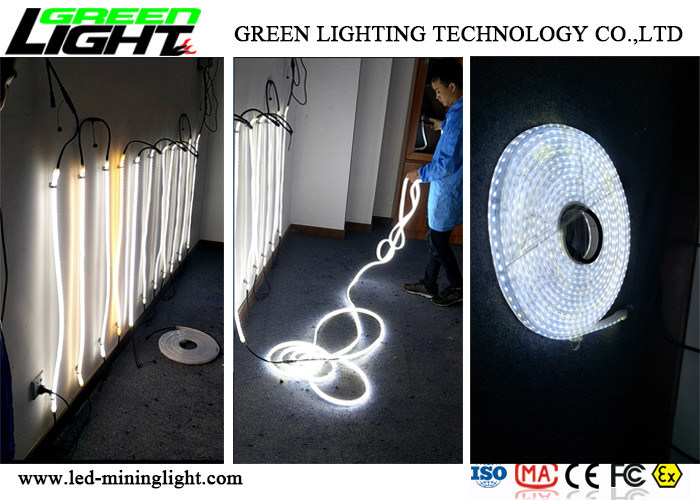 Lumières de bande flexibles résistantes de Corrision LED 140 LED anti-déflagrantes par mètre