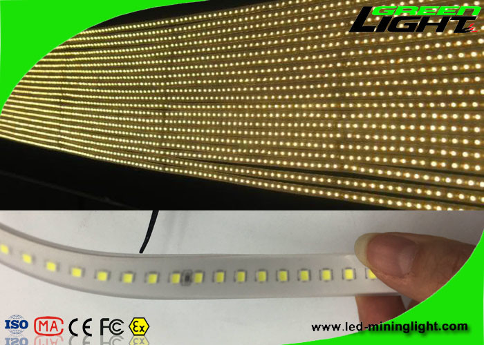 Les lumières de bande flexibles matérielles de Sillicone 12v LED SMD 5050 IP68 imperméabilisent 50/60 hertz