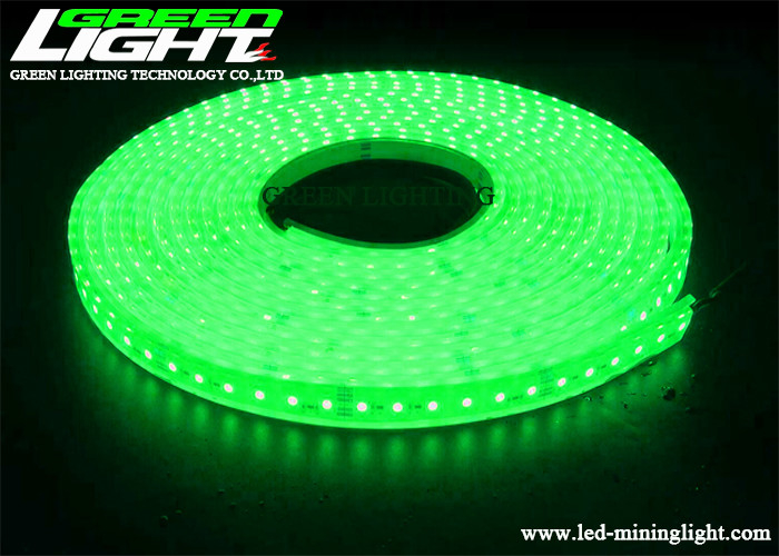couleur verte IP68 imperméable DC36V de lumières de bande de l'exploitation LED de 12W 576LM